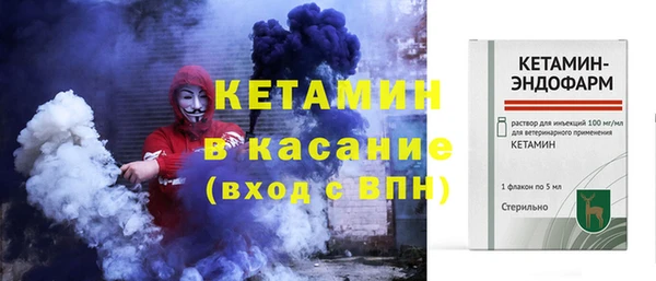 сатива Дмитриев