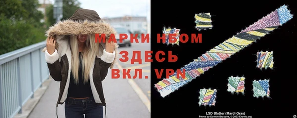 сатива Дмитриев