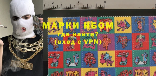 стафф Дмитров