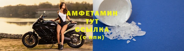сатива Дмитриев