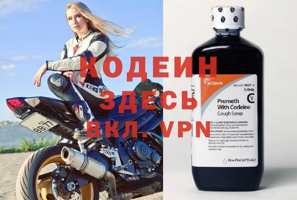 сатива Дмитриев