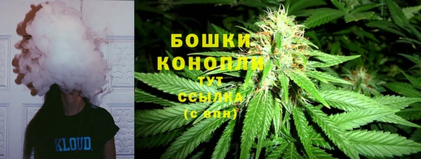spice Гусь-Хрустальный