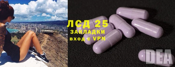 стафф Дмитров